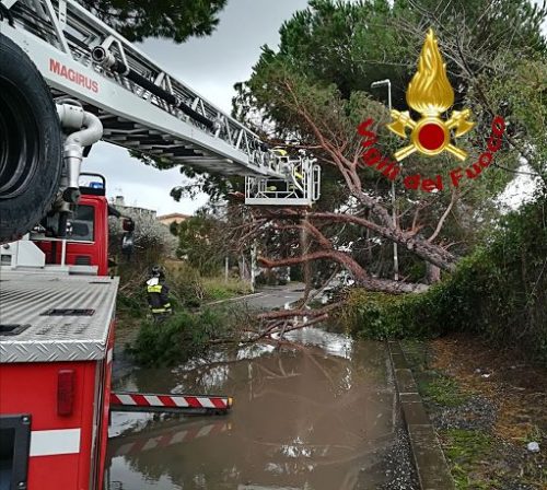 Tragedia Del Maltempo Albero Cade Su Auto Morti Radio Colonna