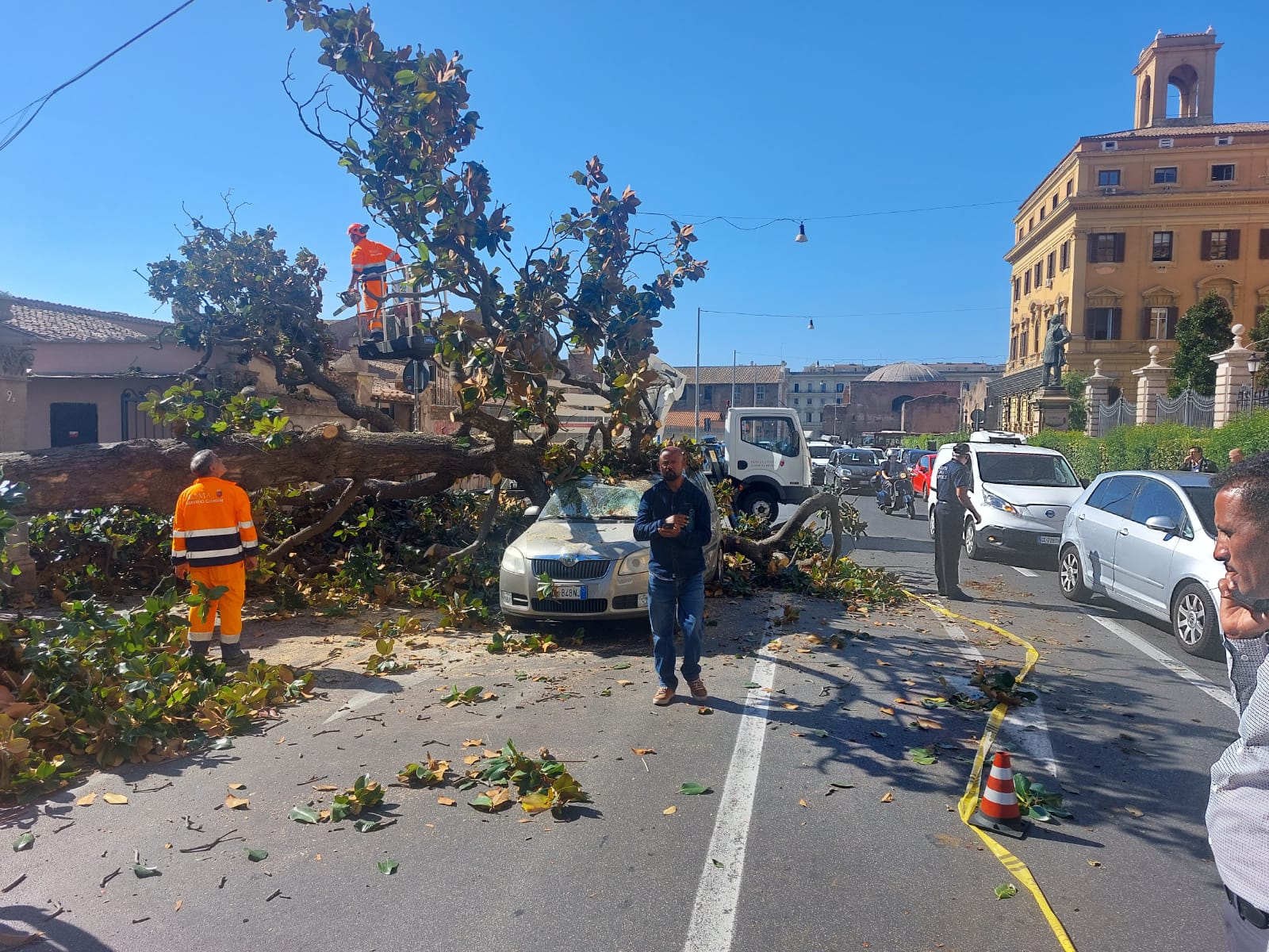 Crolla Albero Nel Giardino Del Museo Nazionale Romano Colpite Auto In