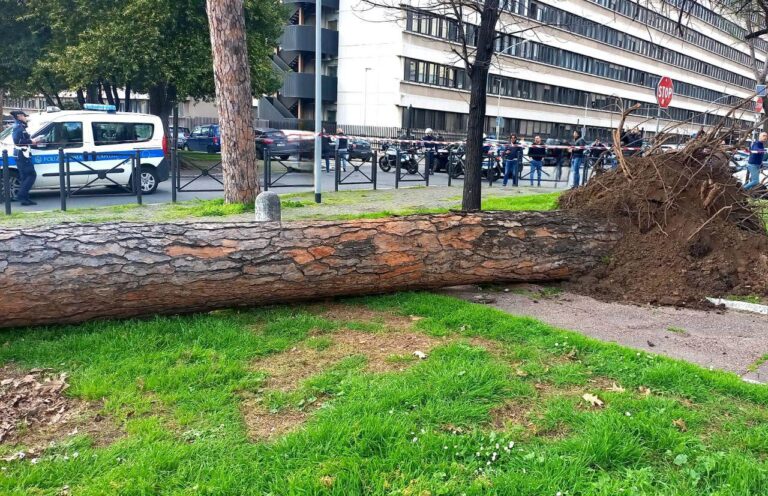 Tragedia Sfiorata A Roma Albero Cade Sulla Cristoforo Colombo